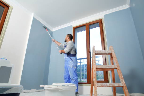 Best Wallpaper Removal and Painting  in Mount Pleasant, IA