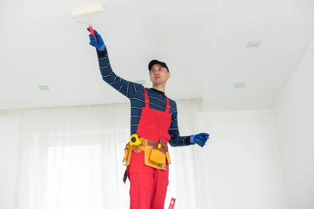 Best Drywall Sanding and Smoothing  in Mount Pleasant, IA