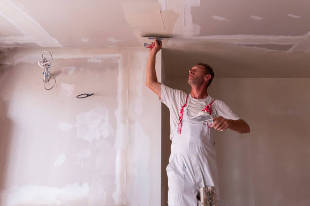 Best Water-Damaged Drywall Repair  in Mount Pleasant, IA